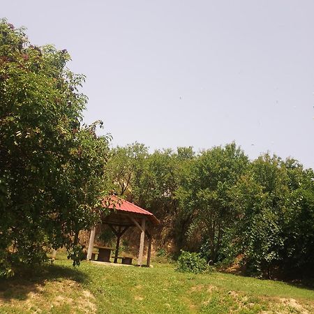 Retro Vendeghaz Villa Nagyharsány Exterior foto